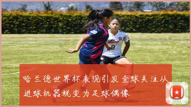 哈兰德世界杯表现引发全球关注从进球机器蜕变为足球偶像